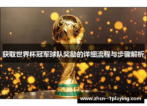 获取世界杯冠军球队奖励的详细流程与步骤解析