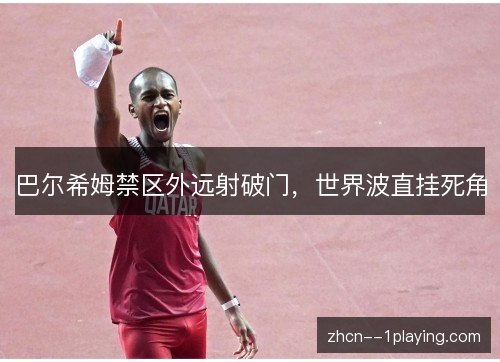 巴尔希姆禁区外远射破门，世界波直挂死角